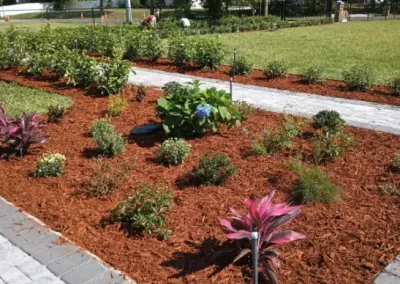 Affordable Landscaping