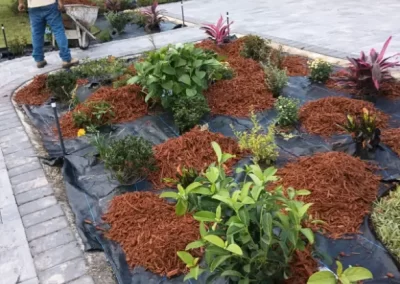 Exceptional Landscaping