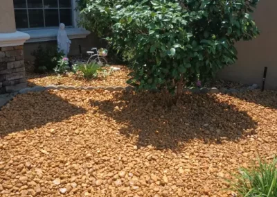 Professional Landscaping